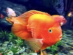 -福州罗源湾海洋世界旅游区