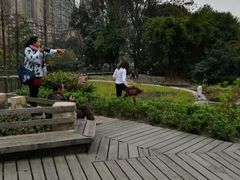 -成都市活水公园