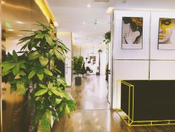 -崇尚GAVIN STYLE臻选