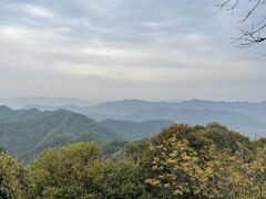 -午潮山国家森林公园