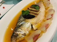 -圆苑(金茂店)