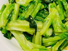 清炒油麦菜-椿记烧鹅(叠彩店)