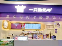-一只酸奶牛(八一路店)