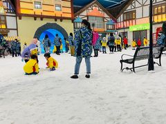 -世界之窗阿尔卑斯冰雪世界