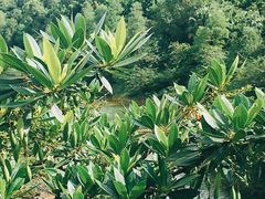 -水濂山森林公园