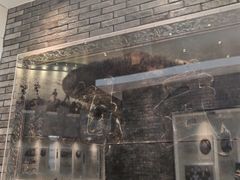 -大连武术文化博物馆