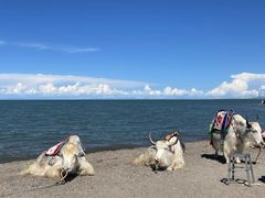 -青海湖国家重点风景名胜区