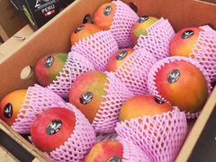 -上海龙吴水胜海发市场