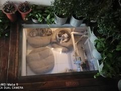 -娜娜家•Nana’Garden (福州道店)