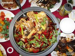 印度阿三的鱼头4-甲21号招待所