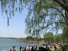 -丁香湖公园