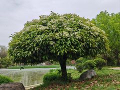 -木塔寺遗址生态公园