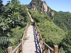 -大岭沟猕猴桃谷风景区
