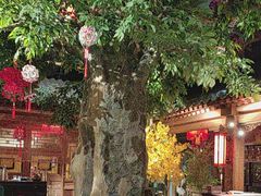 -情满四合院•京菜•烤鸭(动物园店)