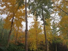 -西安汉城湖景区