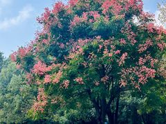 -艾溪湖湿地公园