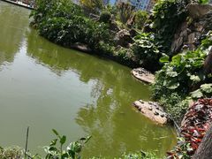 -纪念孙中山市政公园