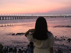 -宝安西湾红树林湿地公园