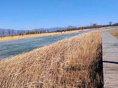 -野鸭湖国家湿地公园