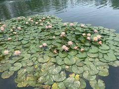 -东梓关景区村庄