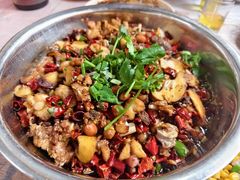 -食神又名厕所兔