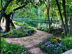 -上海共青森林公园