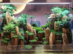 -王府井奥莱临潼小镇(临潼店)