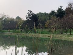 -堤角公园