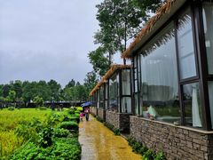 -洪湖家庭农场·团建·露营·会议