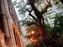 -香港大学