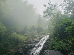 -东白山