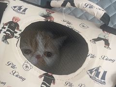 -爱诺动物医院(崂山店)