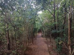 -长虫山生态公园风景林