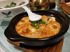客家让豆腐-顺德佬酒楼(粤海店)