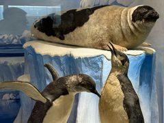 -国家自然博物馆