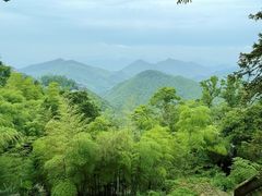 -莫干山风景区