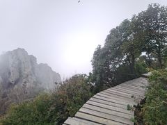 -白草畔自然风景区