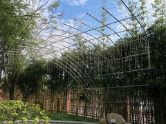 -三江森林温泉度假区