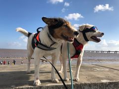 -南汇嘴观海公园