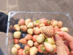 -南坛综合农贸市场