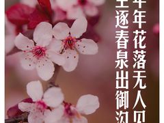 -麦当劳(松江南乐得来速店)