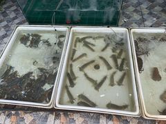 -拉威海鲜市场
