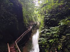-青城山