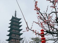 -上海方塔园