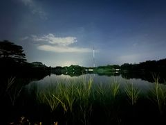 -福田红树林生态公园