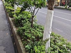 -怪老头甜不辣(抚琴小区店)