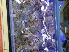 -青石桥市场北1-27号