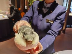 -肆月河豚·淮扬菜·湘菜(华天店)