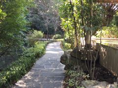 -和顺柏联温泉