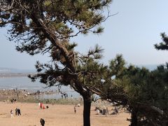-青岛海滨风景区